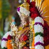 amma.ponnu134