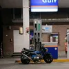 dax_blueblack