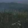aqqumchik