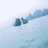 tran183070
