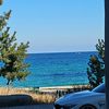 cwjjs_1234