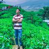 yogoprasetiyo1