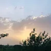 ahmedgian0