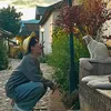 zsxbb1009