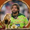 Abdullah Afridi@2986