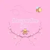 blossombeeshop