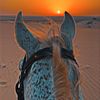 abdulr7man_26