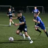 Aleksa🦑