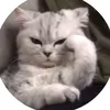 f__op2