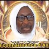 saliou210908