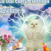 ladan_28888