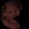 staystoneddd_0