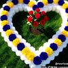 user5097330353632