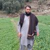 khanzameen599