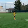 aleds_18