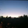 sofiang_308