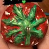 lady_shay_420