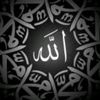 bellal_096