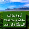 jamal_518