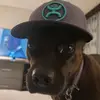 srdpg