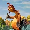 frangojooao