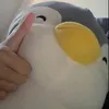 user.aq_