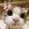 kyawgyi_802