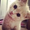 whosnaimxs