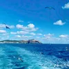 dttruc8