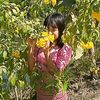 lovehsu179