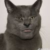 patchesthewise8