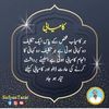 mkashifmkashif5370