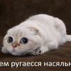 adiwbfkse