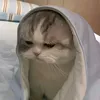 kimhien_hen