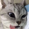 ryee_gaming