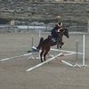 lilly_show.jumping