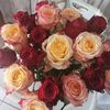 asiya_24_12