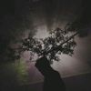elsharawy069