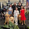 goldenefamilia