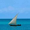 twenty4onlinezanzibar