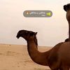 user850235441651