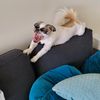 crashby2.0