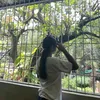 celinejanine3