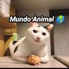 Mundo Animal 🌎