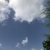mar0987556