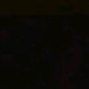 xytx_shon