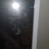 vanessa_willey