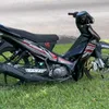 hoanghue_2004