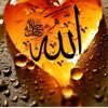 user1996906714929