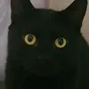 blacknova3211